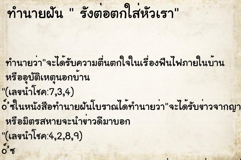 ทำนายฝันรังต่อตกใส่หัวเรา ทำนายฝันทำนายฝันรังต่อตกใส่หัวเรา